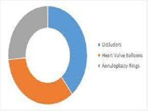 Structural Heart Devices Market