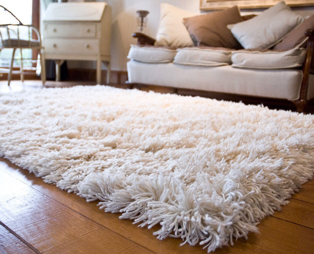 Best Shag Rugs