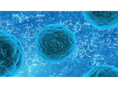 Global Cell Therapy Market 2022, Share, Key Players, Production, Growth and Future Insights 2028