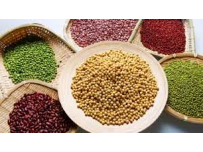 Global Seed Coating Market : Industry Analysis and Forecast