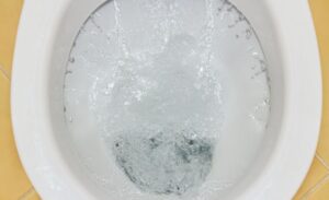 Slow-Flushing Toilets Image