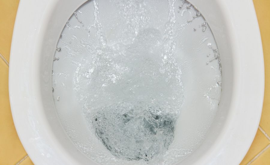 Slow-Flushing Toilets Image