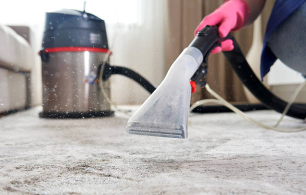 What are The Benefits of Hiring Professional Carpet Cleaners?