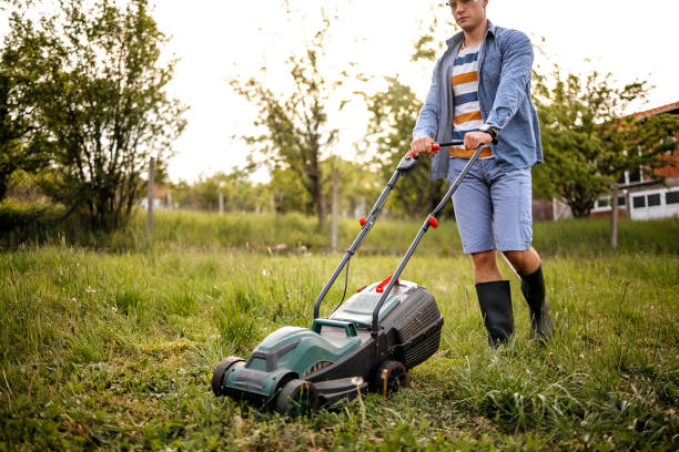 Engine Grass Cutting Machine