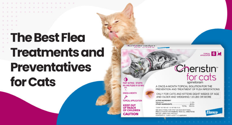 The Best Flea Treatments and Preventatives for Cats