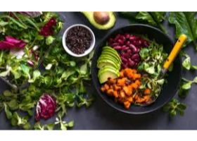 Plant Based Food Market to Hit USD 78.95 Billion by 2028 | Vantage Market Research