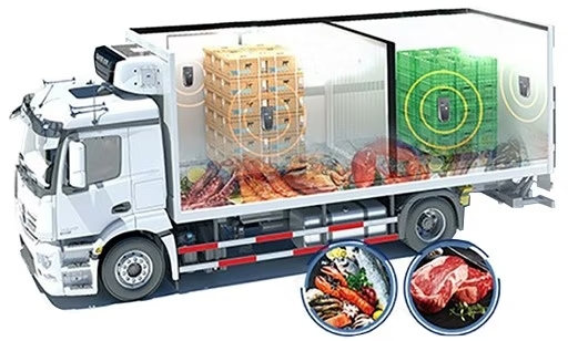 What is Cold Chain Logistics Market 2022