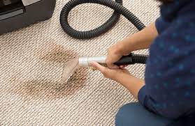 Worried About Your Carpet So You Need A Professional Cleaner?