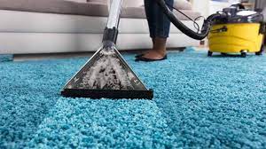 5 Reasons to Get Your Carpet Cleaned Professionally