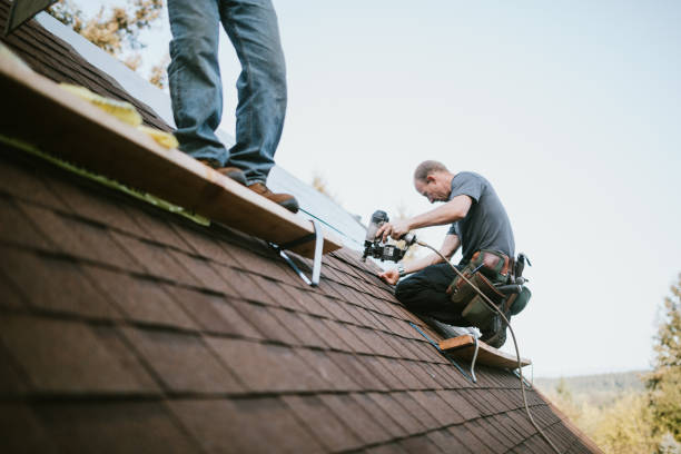The Best Roofing Company in Alexandria, VA: Roofing Inspections and More