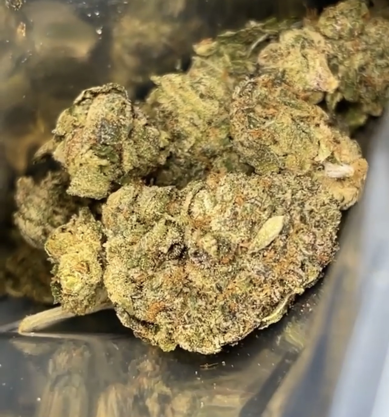 Online DC Weed Delivery On New Year Online DC Weed Delivery On New Year