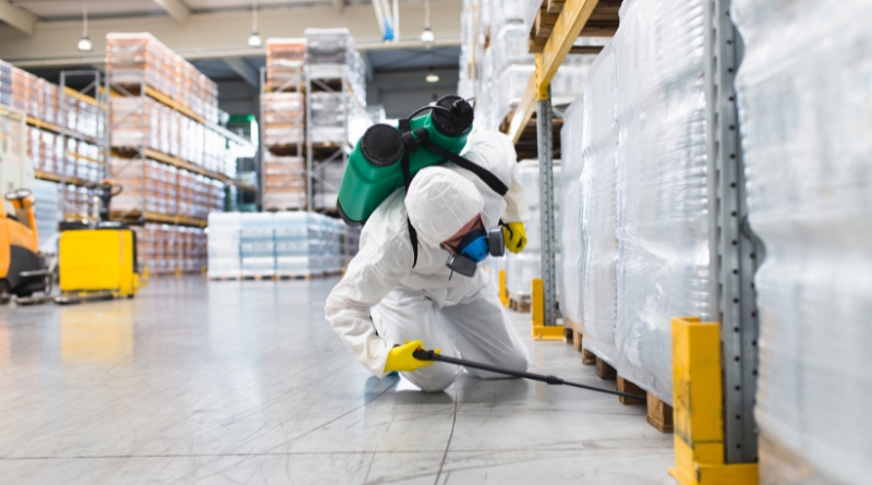 Is It Worth Paying for Pest Control Is It Worth Paying for Pest Control