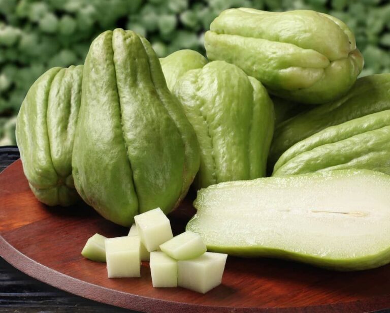 What Health Benefits Does Chayote Juice Fresh Offer?