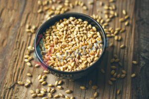 The Wheat Market Size to Hit USD 848.3 Million by 2028