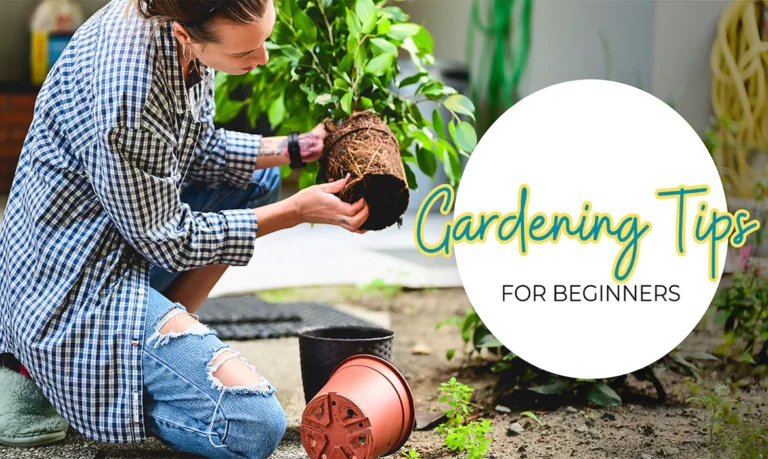 Tips for Getting Started in Your Home Garden