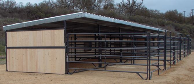 How Modular Horse Shelters Can Make Farm Life Easier